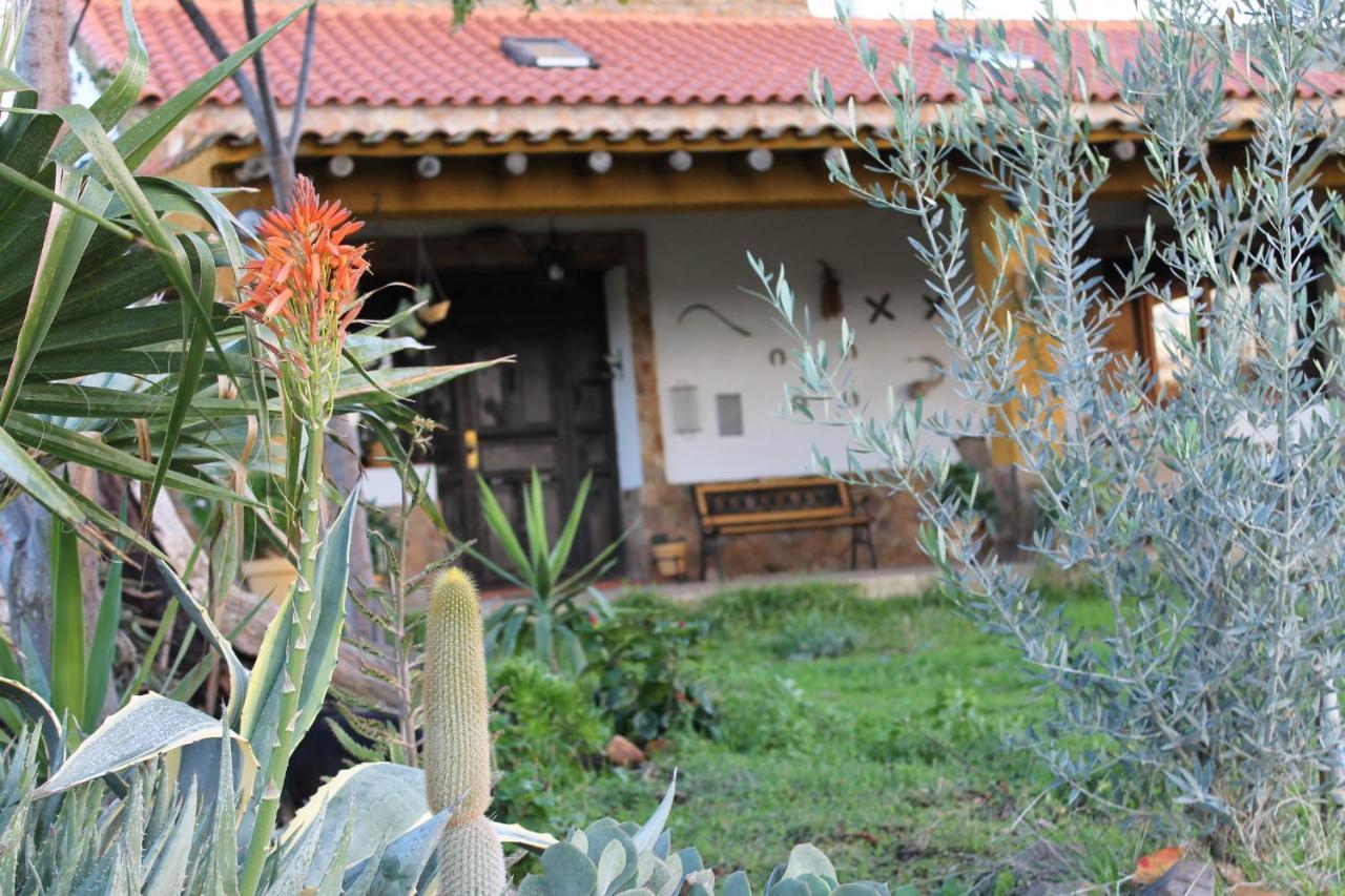 Casa Rural La Coscoja Мерида Экстерьер фото